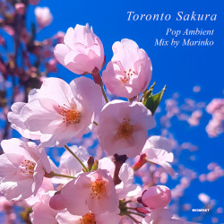 VA – Toronto Sakura – Mix by Marinko [Kompakt PA 01 D]